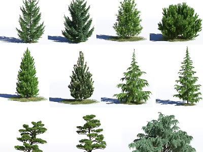 Different Types of Arbor Trees for Landscaping and Garden Decoration 3d model