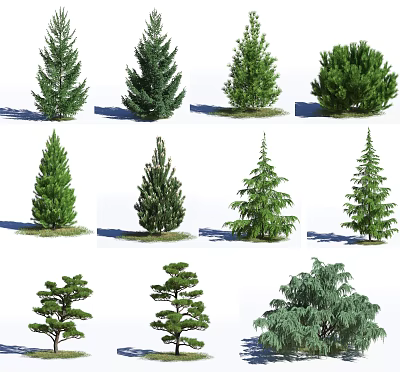 Different Types of Arbor Trees for Landscaping and Garden Decoration 3d model