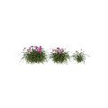 Natural Decorative Ornament Set With Purple Flowers And Green Leafy Foliage