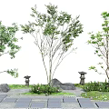 Various Types of Ornamental Arbor Trees with Stone Path Stones and Small Plants