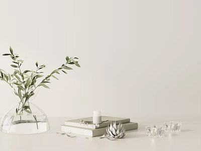 Decorative Ornament Set With Glass Vase Olive Branches Stacked Books White Candle Succulent Crystal Decor 3d model