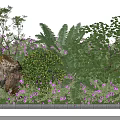 Lush Garden Display With Purple Flowers Green Shrubs Ferns And Stones