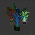 Green Potted Plants With Metal Stand And Different Leaves In Gray Planters On Dark Background