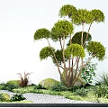 Garden landscape plant multi-head modeling tree courtyard tree stone sketch 3d model