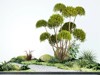 Garden landscape plant multi-head modeling tree courtyard tree stone sketch 3d model