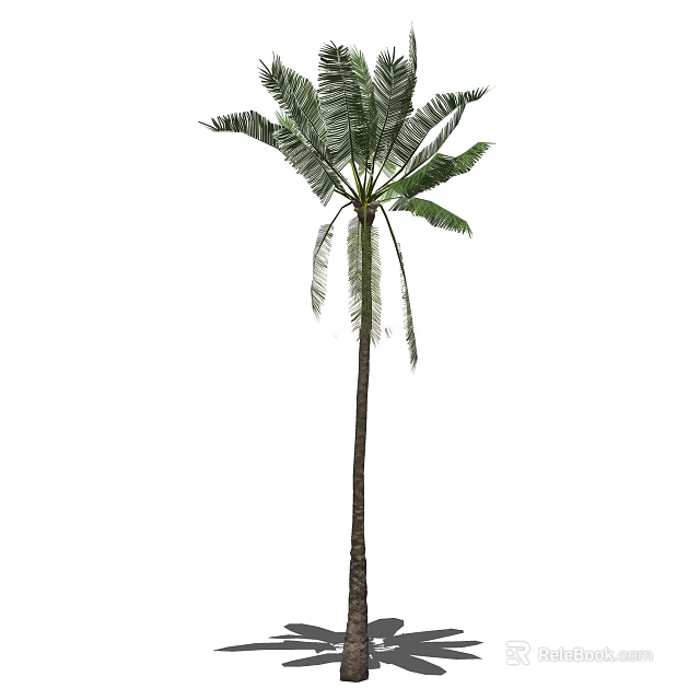 Lush Tropical Palm Tree with Long Green Leaves and Thick Trunk 3d model 