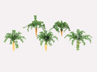 Fresh Organic Carrots With Green Leafy Tops Arranged On White Background 3d model