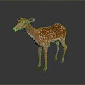 Realistic Spotted Brown Fawn Standing Isolated On Dark Background With Reflection 3d model
