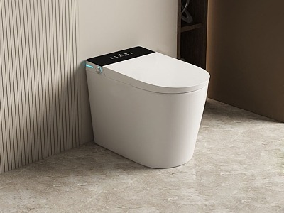 Modern toilet model