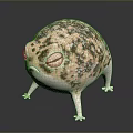 Cartoon Frog With Plump Body Spotted Pattern Big Eyes And Short Legs