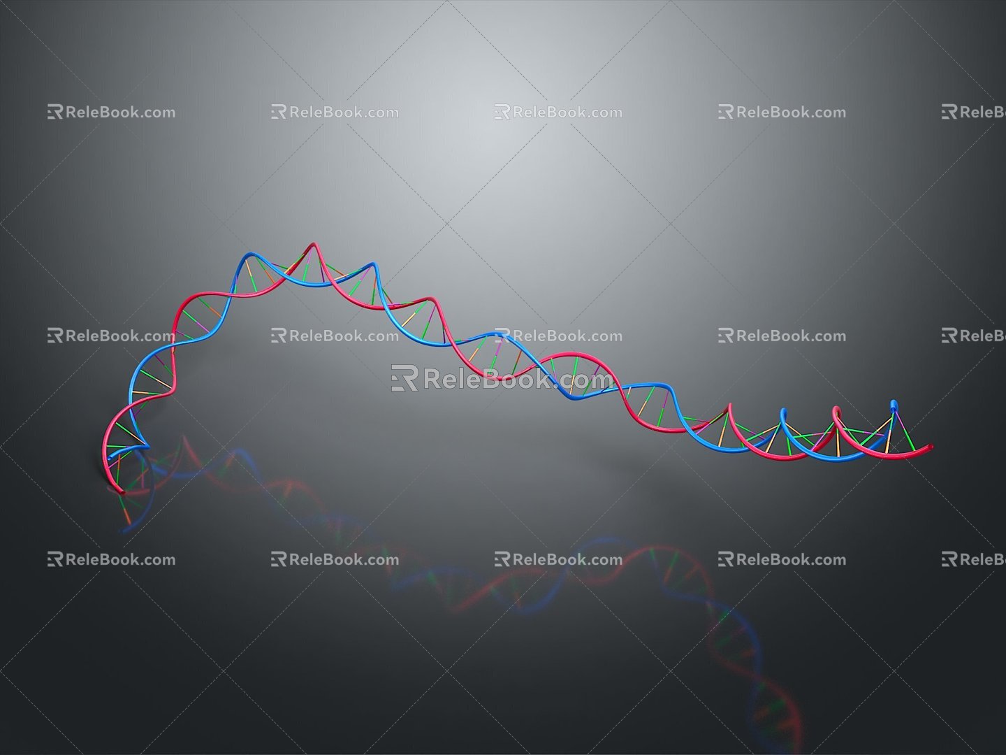 DNA molecular chain gene chain digital DNA 3d model