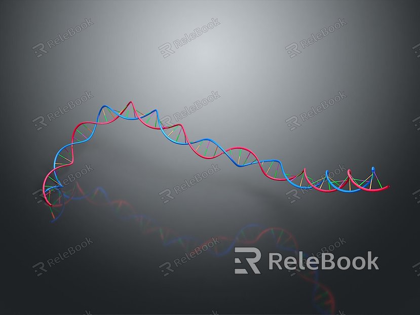 DNA molecular chain gene chain digital DNA model