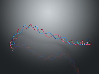 DNA molecular chain gene chain digital DNA model