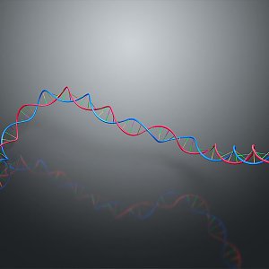 DNA molecular chain gene chain digital DNA 3d model