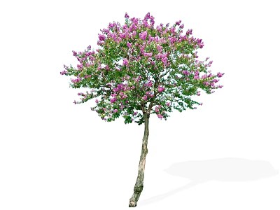 Vibrant Arbor With Purple Flowers Green Leaves And Brown Trunk 3d model
