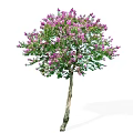 Vibrant Arbor With Purple Flowers Green Leaves And Brown Trunk