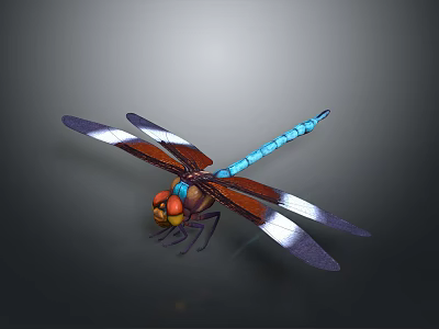 Detailed 3D Dragonfly Model Featuring Blue Body Red Head And White Wings 3d model