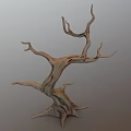Withered Tree With Twisted Trunk Unique Branches And Natural Texture Structure 3d model