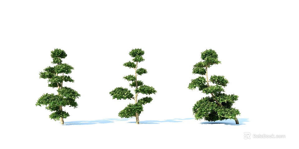 Three Different Shaped Green Leafy Arbors with Natural Trunks in Row 3d model 