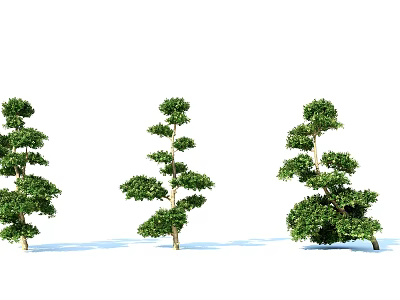 Three Different Shaped Green Leafy Arbors with Natural Trunks in Row 3d model