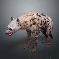 Spotted Hyena Standing on Gray Background with Open Mouth and Realistic Fur