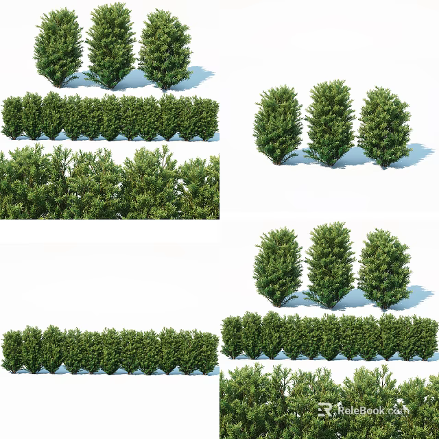 Trimmed Green Shrubs And Hedges With Individual Garden Plants For Landscaping 3d model 