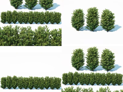 Trimmed Green Shrubs And Hedges With Individual Garden Plants For Landscaping 3d model