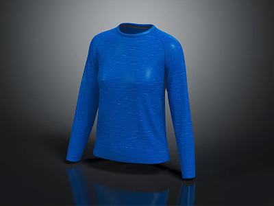 Blue Long Sleeve Knitted Top With Round Neck Casual Stylish Design 3d model