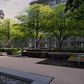 Serene Residential Landscape With Lush Trees Greenery Courtyard Walkway And Building Exterior