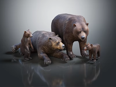 Family of Brown Bears Including Adults and Cubs Standing Lying and Walking Together 3d model
