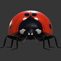 Modern ladybug ladybug insect 3d model