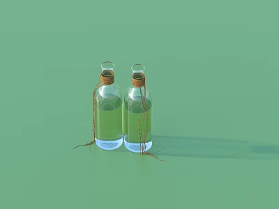 Decorative Ornament Set With Transparent Glass Bottles Green Liquid Brown Corks And Strings 3d model
