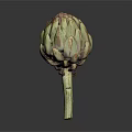 Fresh Whole Artichoke With Green Purple Bracts And Stem On Dark Background