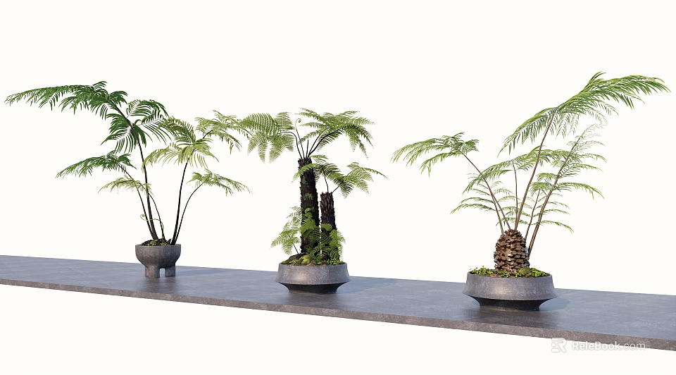 Decorative Bonsai Potted Plants With Green Foliage In Ceramic Pots On Gray Platform 3d model 