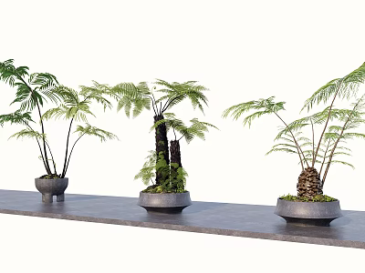Decorative Bonsai Potted Plants With Green Foliage In Ceramic Pots On Gray Platform 3d model