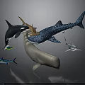Spotted Whale Shark Black And White Orca Gray Dolphin And Small Fish