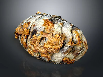 Detailed View of Biological Organ with Hair Like Structures and Textured Surface 3d model