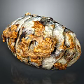Detailed View of Biological Organ with Hair Like Structures and Textured Surface