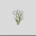 Bouquet of White Small Flowers with Green Stems and Leaves Around 50 cm Height