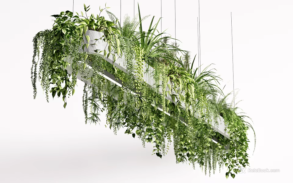 Lush Trailing Vines In Hanging Planter With Green Foliage And Suspended Design 3d model 