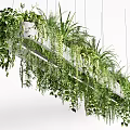 Lush Trailing Vines In Hanging Planter With Green Foliage And Suspended Design