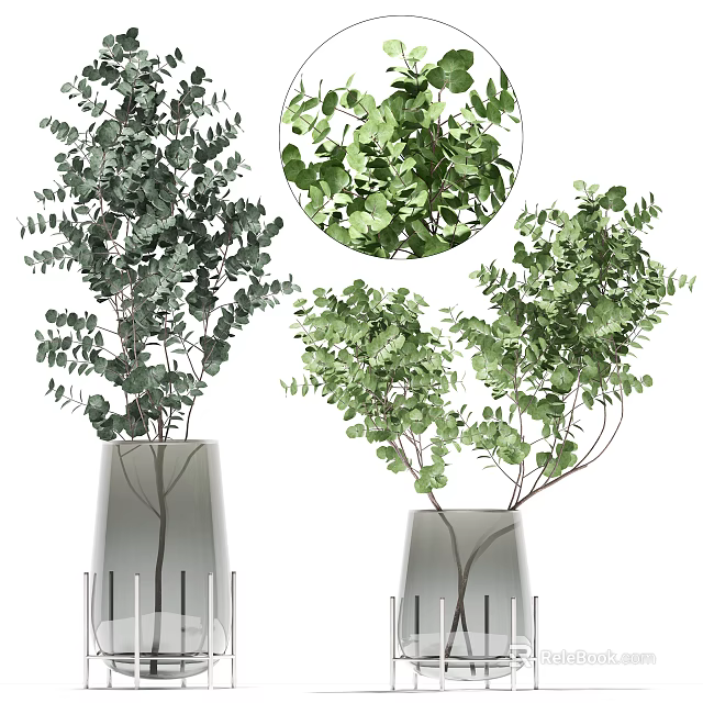 Elegant Modern Vase With Fresh Green Eucalyptus Leaves For Home Decor 3d model 