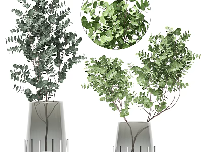 Elegant Modern Vase With Fresh Green Eucalyptus Leaves For Home Decor 3d model