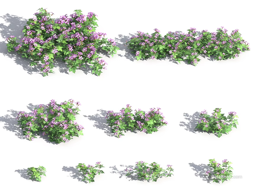 Vibrant Flowering Plants With Purple Flowers And Green Leaves In Various Clusters 3d model 