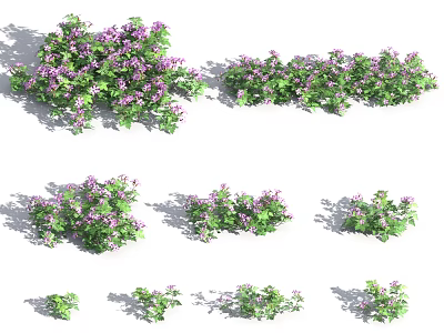 Vibrant Flowering Plants With Purple Flowers And Green Leaves In Various Clusters 3d model