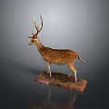 Stuffed Deer Taxidermy Mount With Antlers And White Spots On Wooden Display Base
