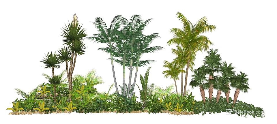 Diverse Tall Trees With Lush Green Leaves And Tropical Foliage In Landscape 3d model 