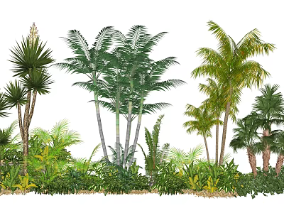 Diverse Tall Trees With Lush Green Leaves And Tropical Foliage In Landscape 3d model