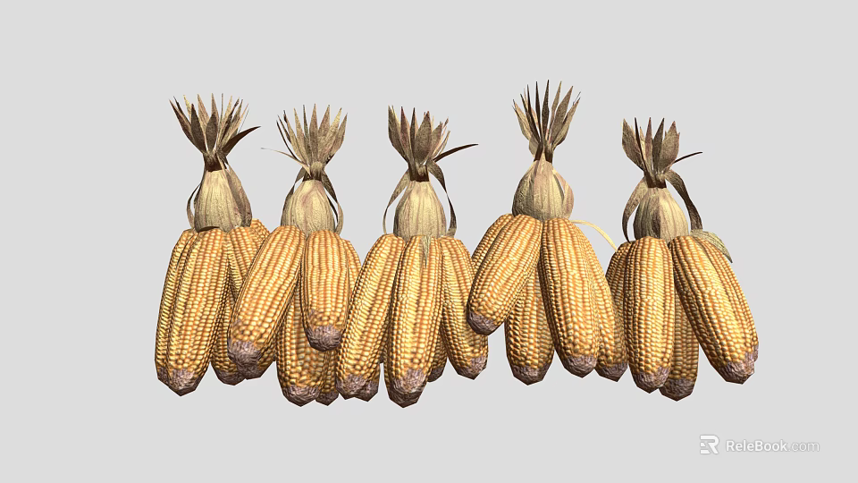 Golden Dried Corn Cobs With Husks Arranged In A Straight Row 3d model 