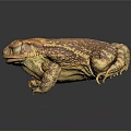 Brown and Yellow Toad With Bumpy Skin On Dark Background And Reflection